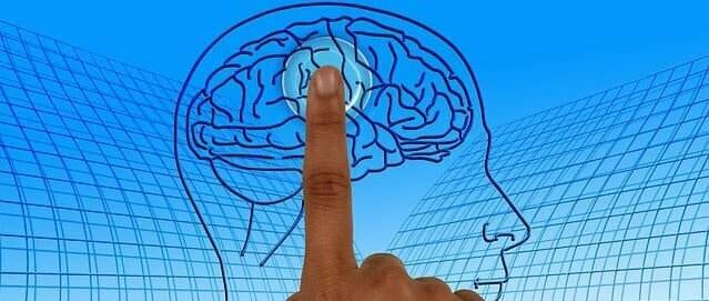 Das Gedächtnis ist eine Elementarfunktion