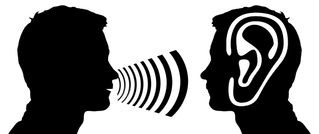 Wahrnehmung ist eine Elementarfunktion im psychopathologischen Befund für HP Psych