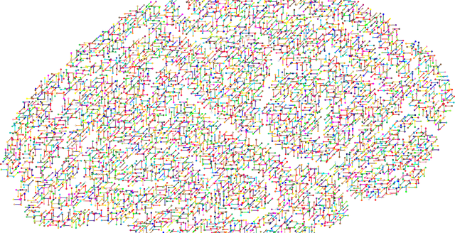 Morbus Pick in der HP Psychotherapie Ausbildung