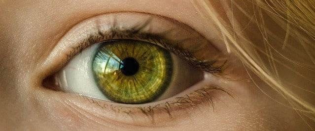 Morbus Wilson in der HP Psychotherapie Ausbildung