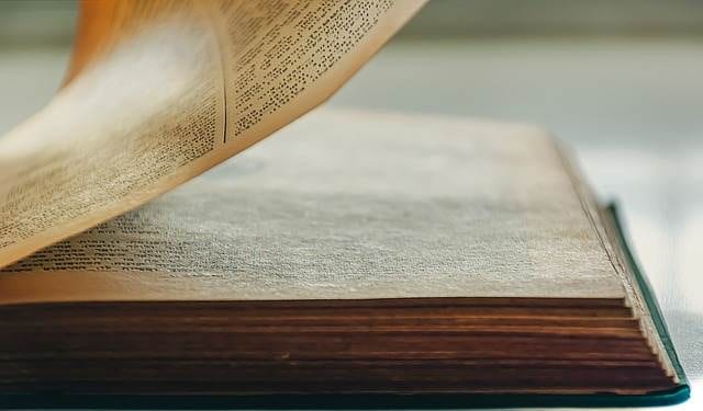 Die wichtigsten Inhalte der Heilpraktiker Psychotherapie Online Ausbildung