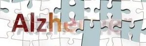 Alzheimer Demenz in der HP Psychotherapie Ausbildung